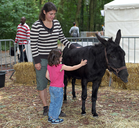 Dynamifête 2012
