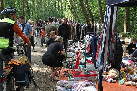 Dynamifête 2012