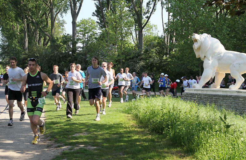 Bal Été 2014