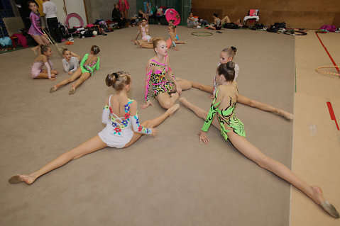 GRS-2010