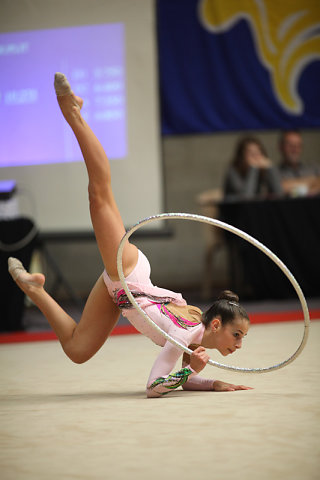 GRS-2010