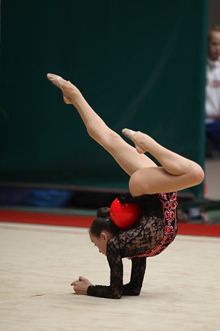GRS-2010