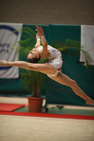 GRS-2010