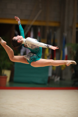 GRS-2010