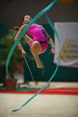 GRS-2010