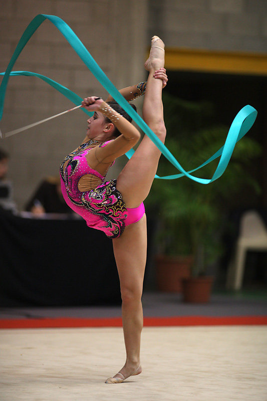 GRS-2010