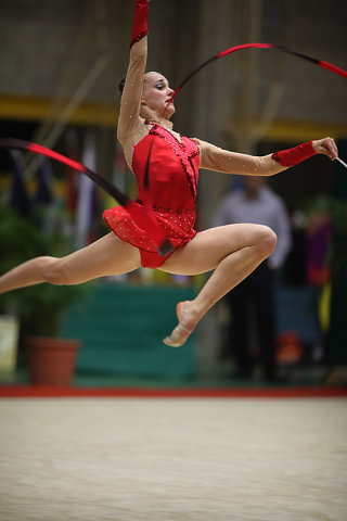 GRS-2010