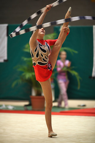 GRS-2010