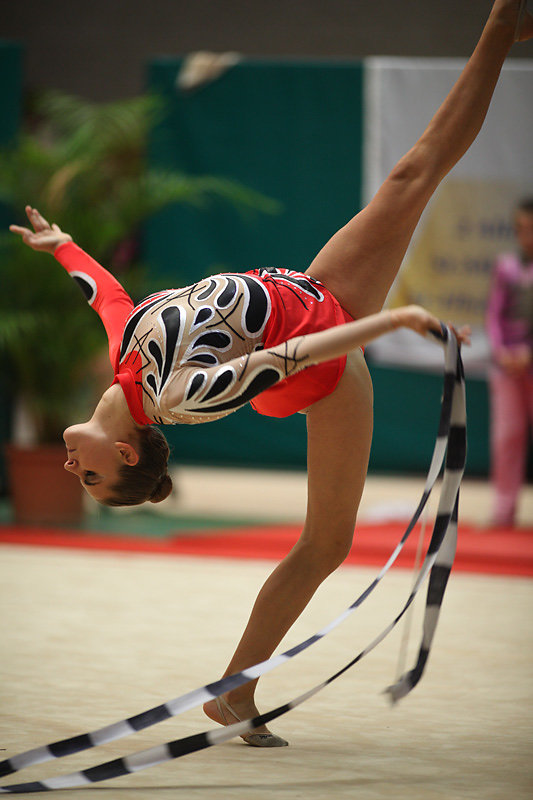 GRS-2010