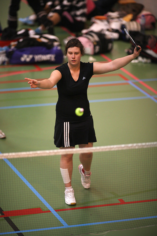 Badminton 2010