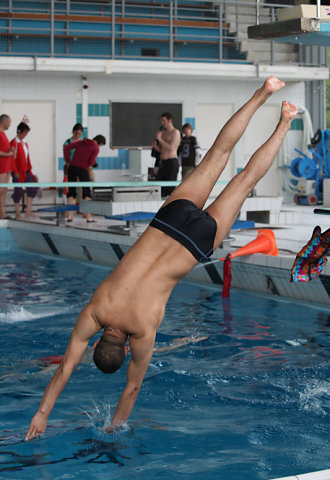 Plongeon 2010