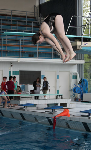 Plongeon 2010