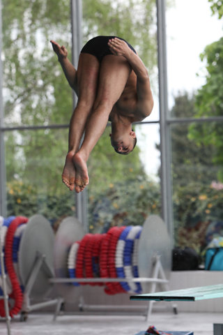 Plongeon 2010