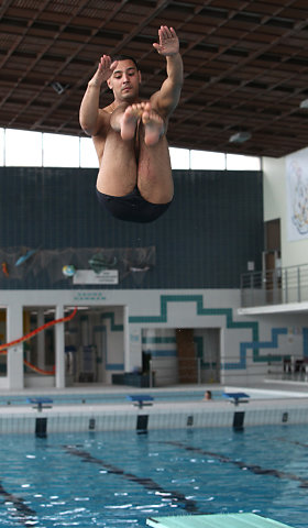 Plongeon 2010
