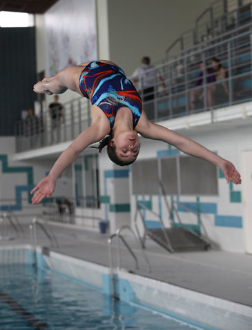 Plongeon 2010