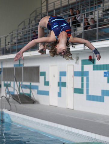 Plongeon 2010