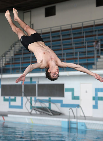 Plongeon 2010