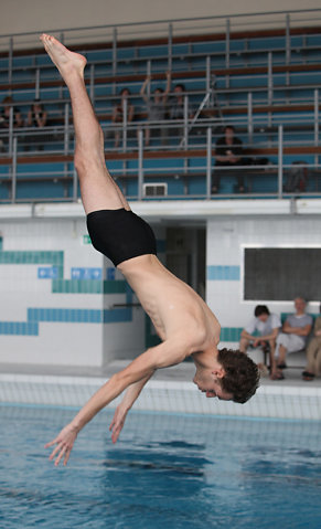 Plongeon 2010