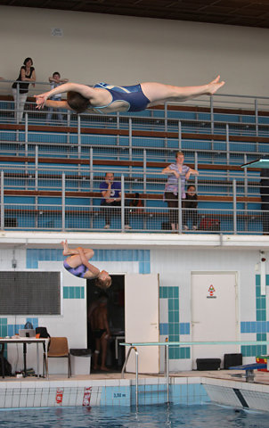 Plongeon 2010