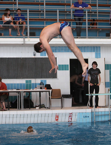 Plongeon 2010