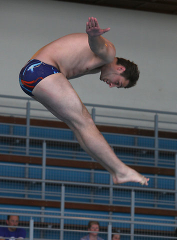 Plongeon 2010