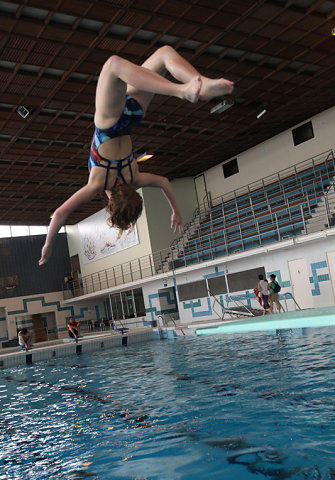 Plongeon 2010