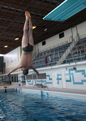 Plongeon 2010