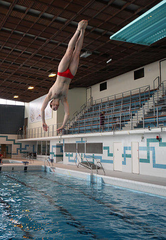Plongeon 2010