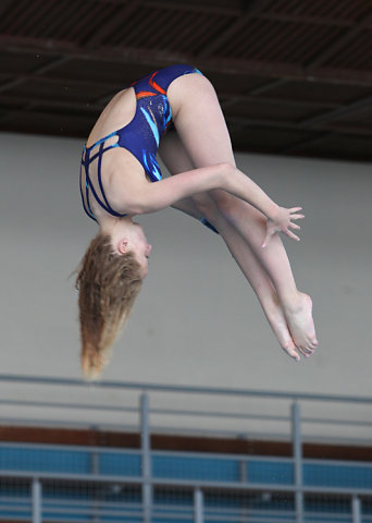 Plongeon 2010