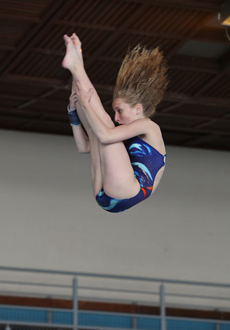 Plongeon 2010