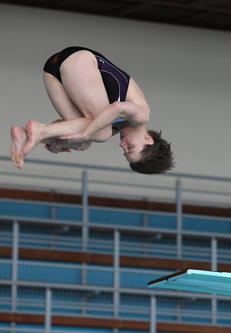 Plongeon 2010