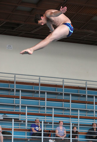 Plongeon 2010