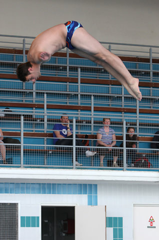 Plongeon 2010