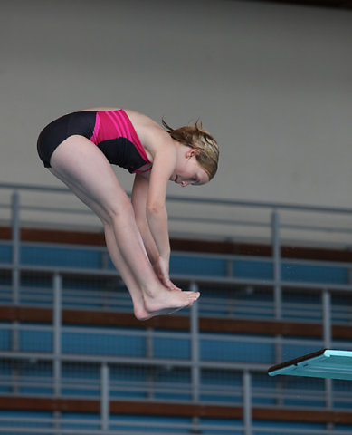 Plongeon 2010