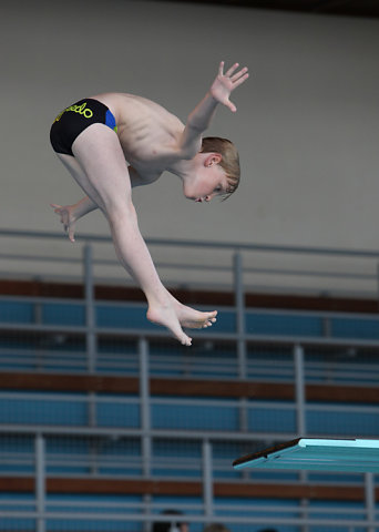 Plongeon 2010