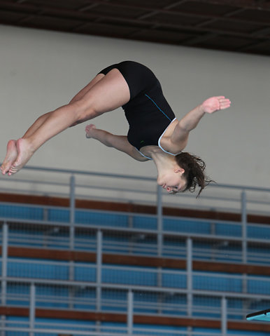 Plongeon 2010