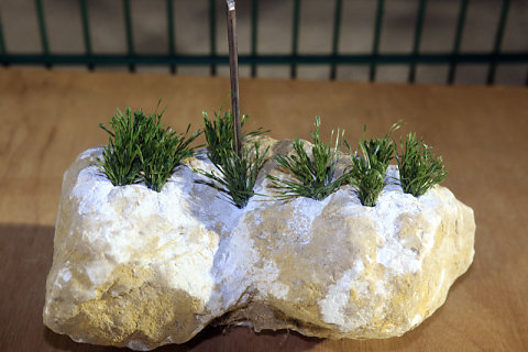 Inauguration terrain 1