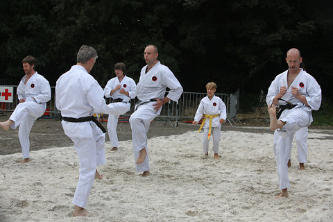 Dynamifête 2009