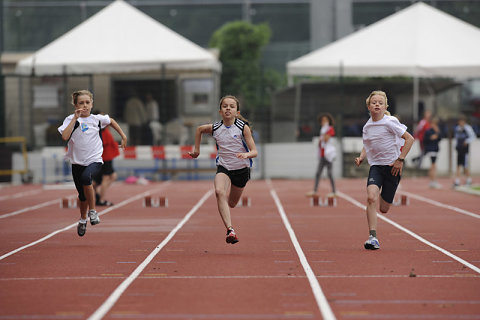 Woluwe Iris Cup