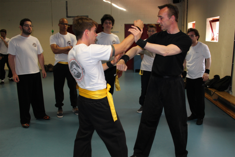 Wing chun Marchez sur les traces de Bruce Lee Dynamic Tamtam