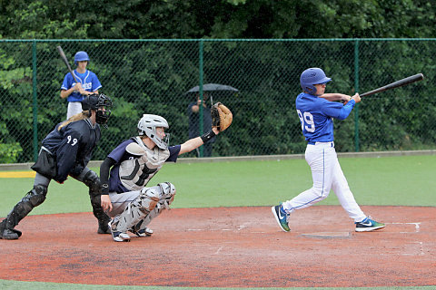 Baseball 2014