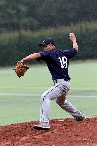 Baseball 2014