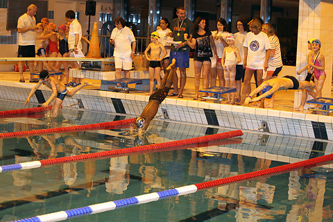 Tournoi Natation 2013