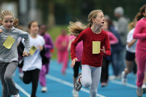 Minicross 2012