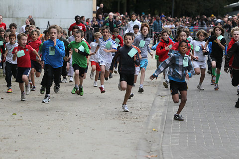 Minicross 2012