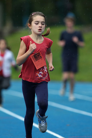 Minicross 2012