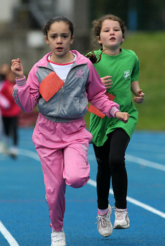 Minicross 2012