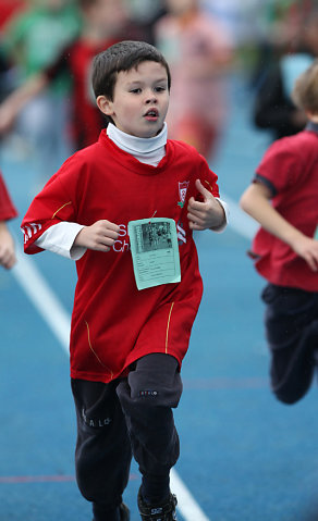 Minicross 2012