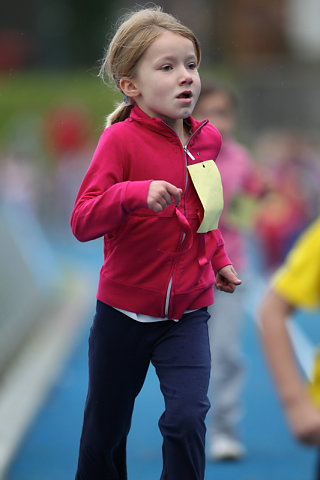 Minicross 2012