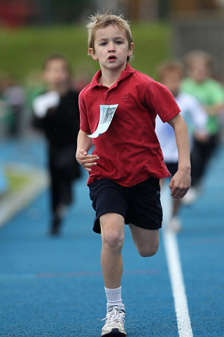 Minicross 2012